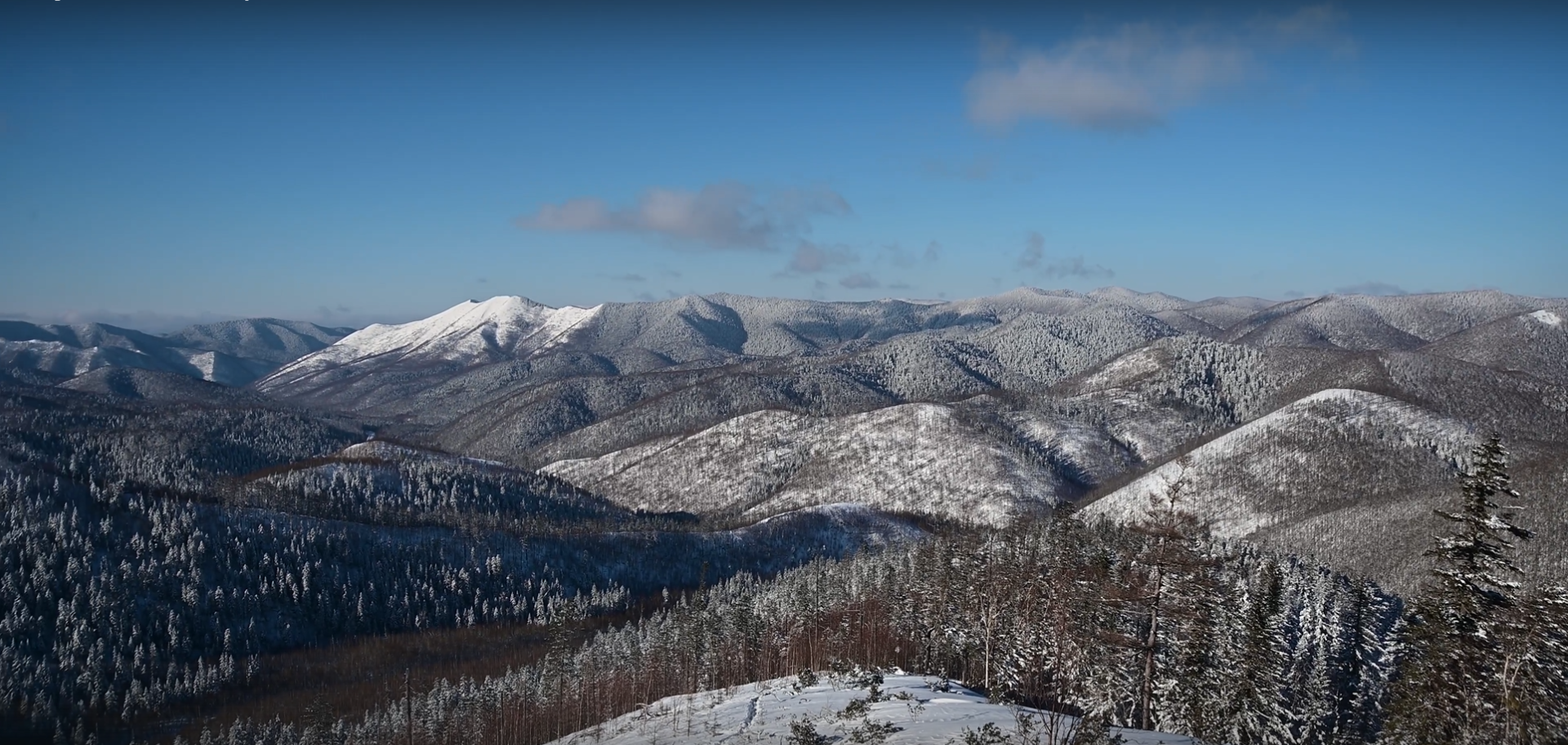 Снимок экрана 2025-12-05 160524.png