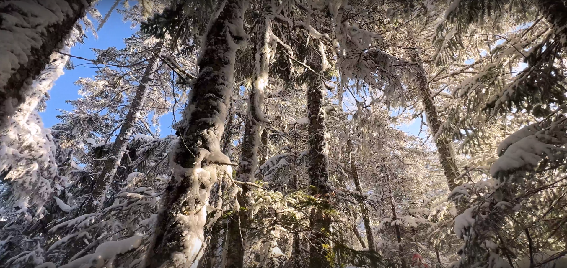 Снимок экрана 2025-12-05 160626.png