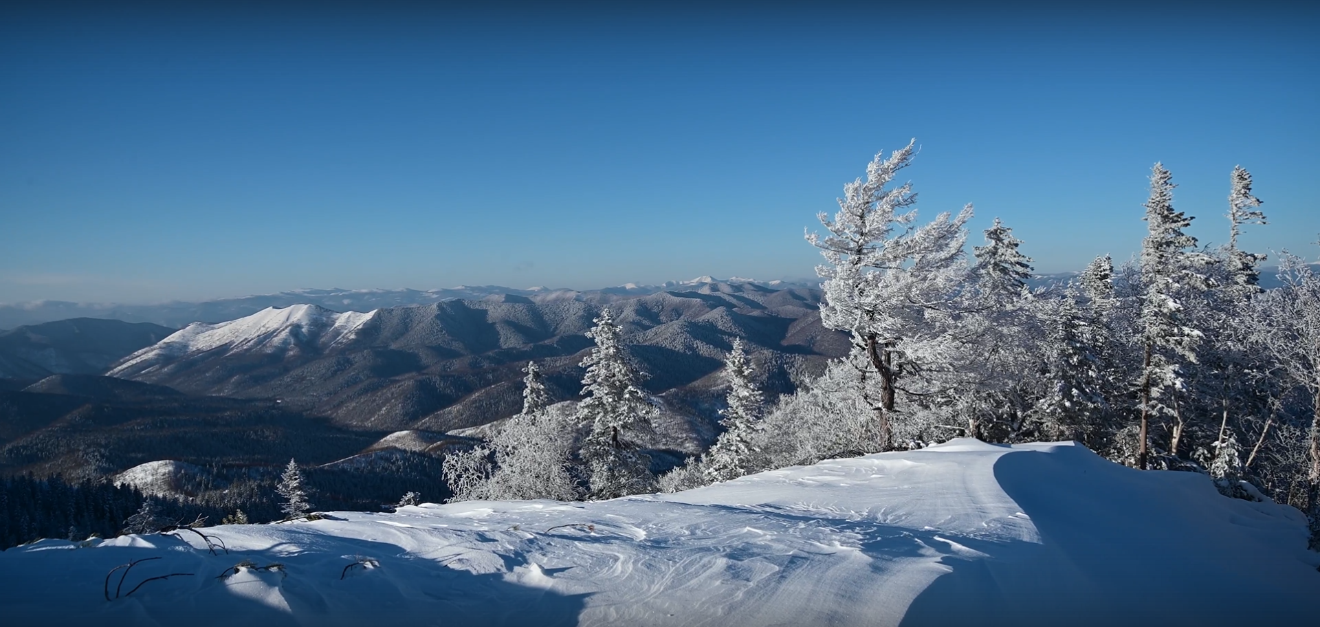 Снимок экрана 2025-12-05 160941.png