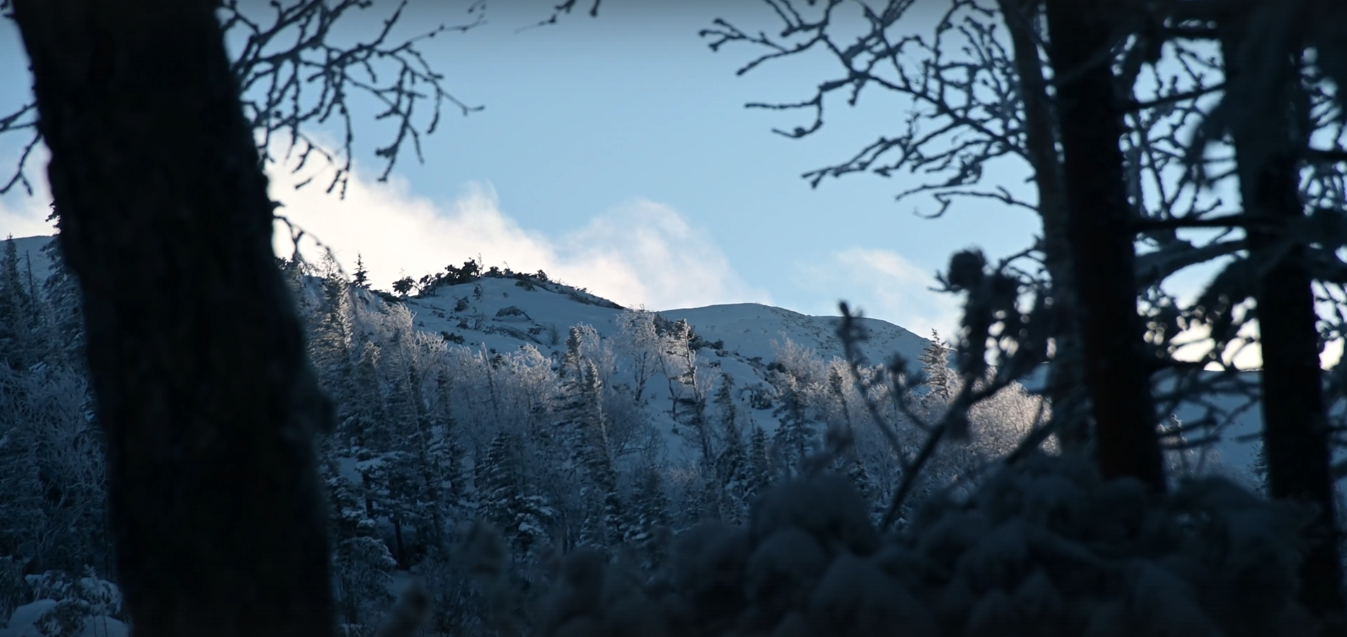 Снимок экрана 2025-12-05 161018.png