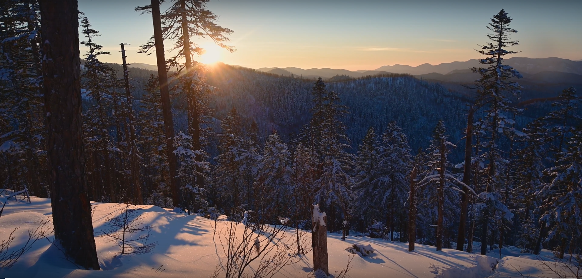 Снимок экрана 2025-12-05 161048.png