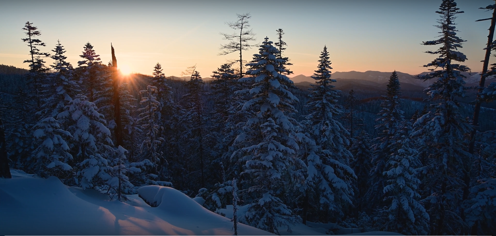 Снимок экрана 2025-12-05 161104.png