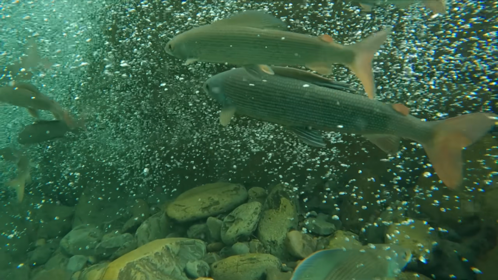 Снимок экрана 2025-12-17 114327.png