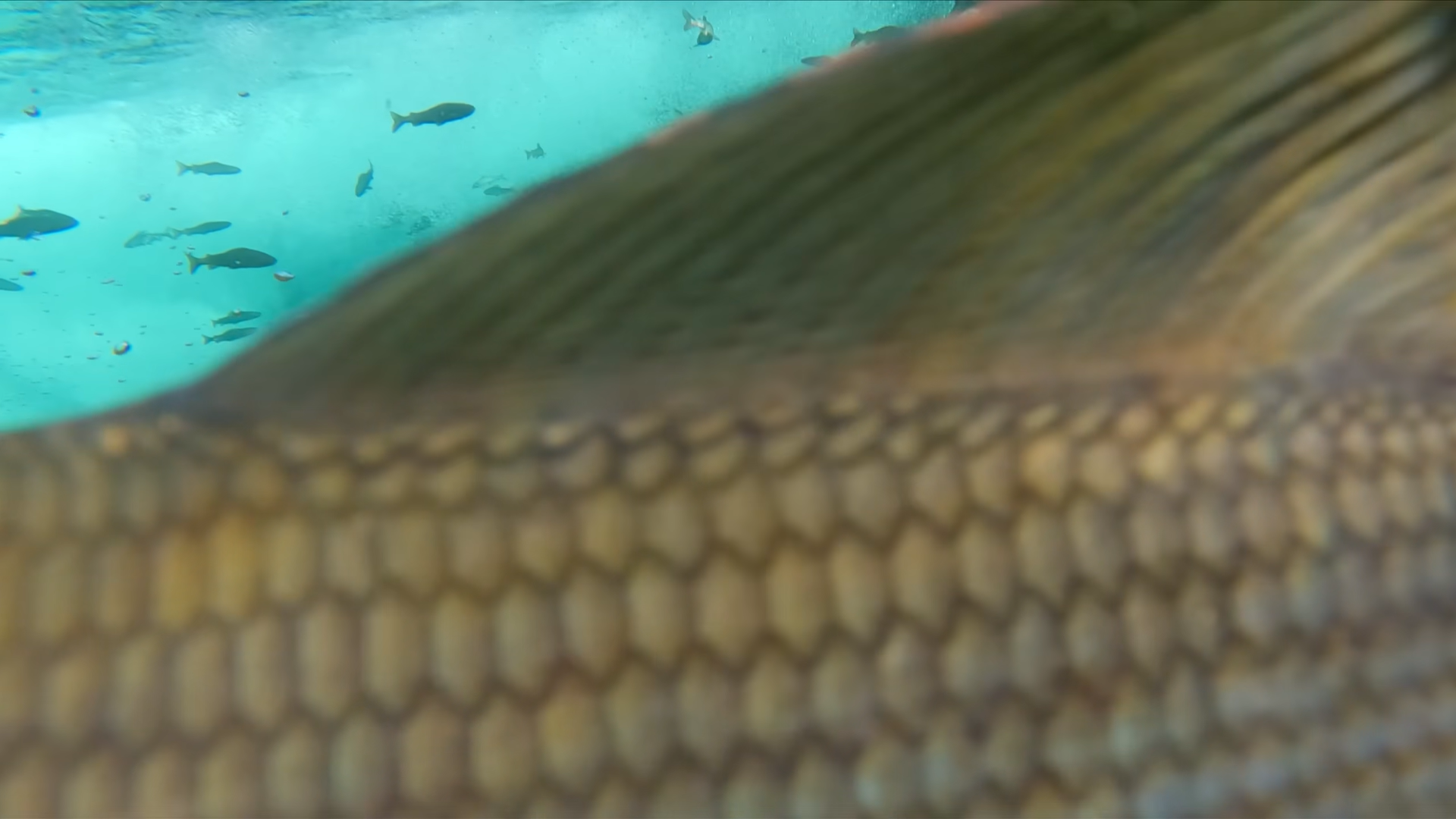 Снимок экрана 2025-12-17 114420.png