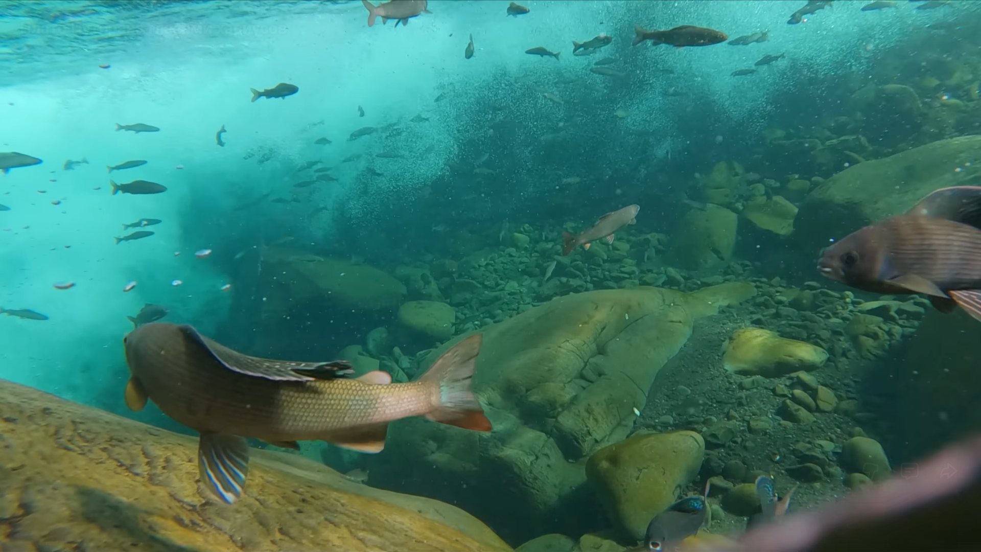 Снимок экрана 2025-12-17 114433.png