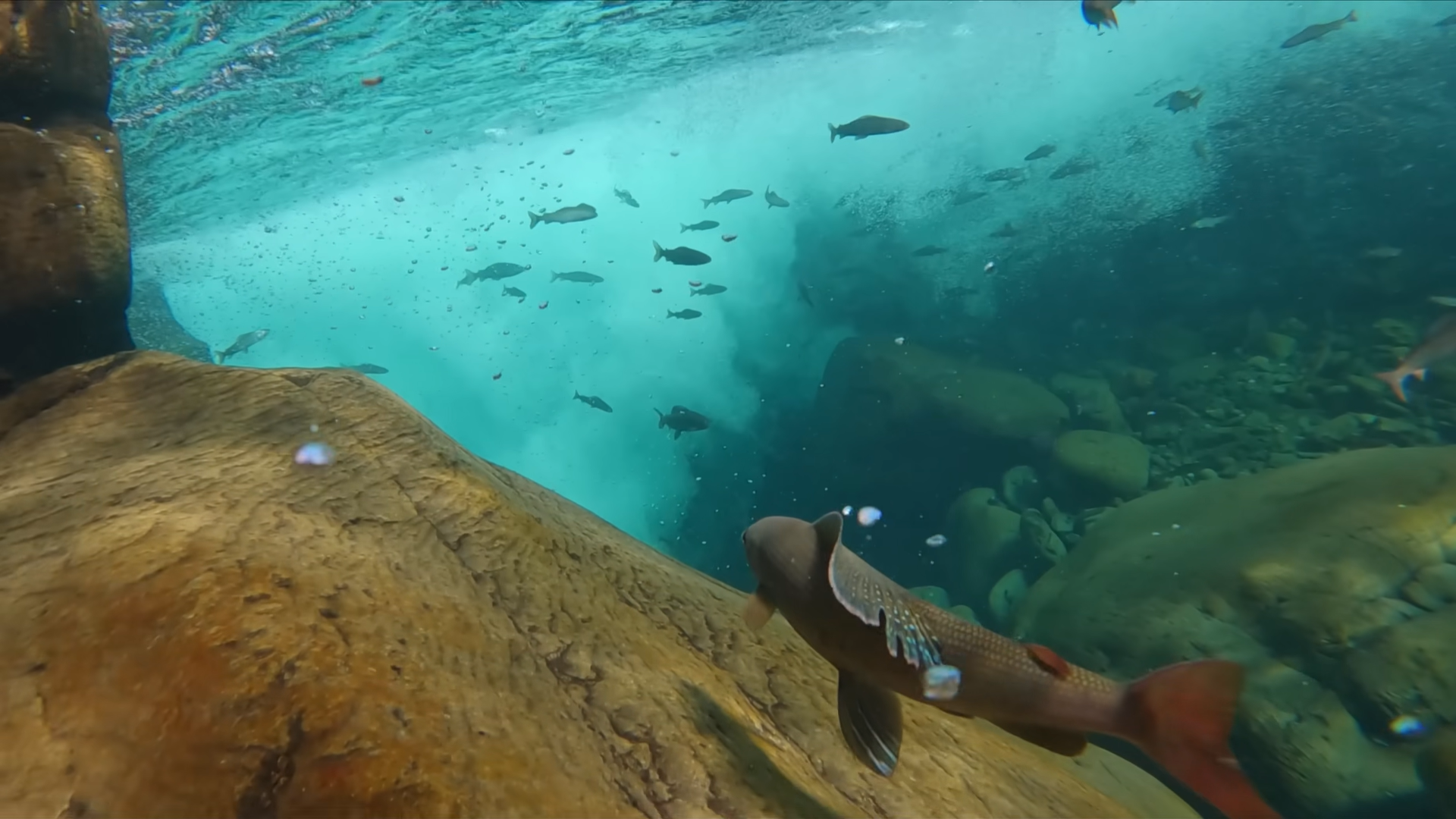 Снимок экрана 2025-12-17 114508.png