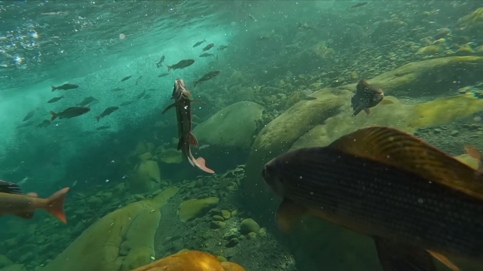 Снимок экрана 2025-12-17 114658.png