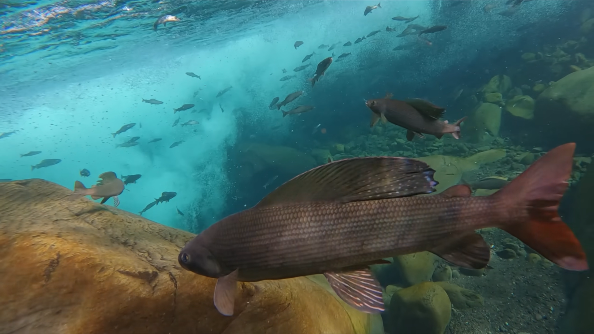 Снимок экрана 2025-12-17 114854.png