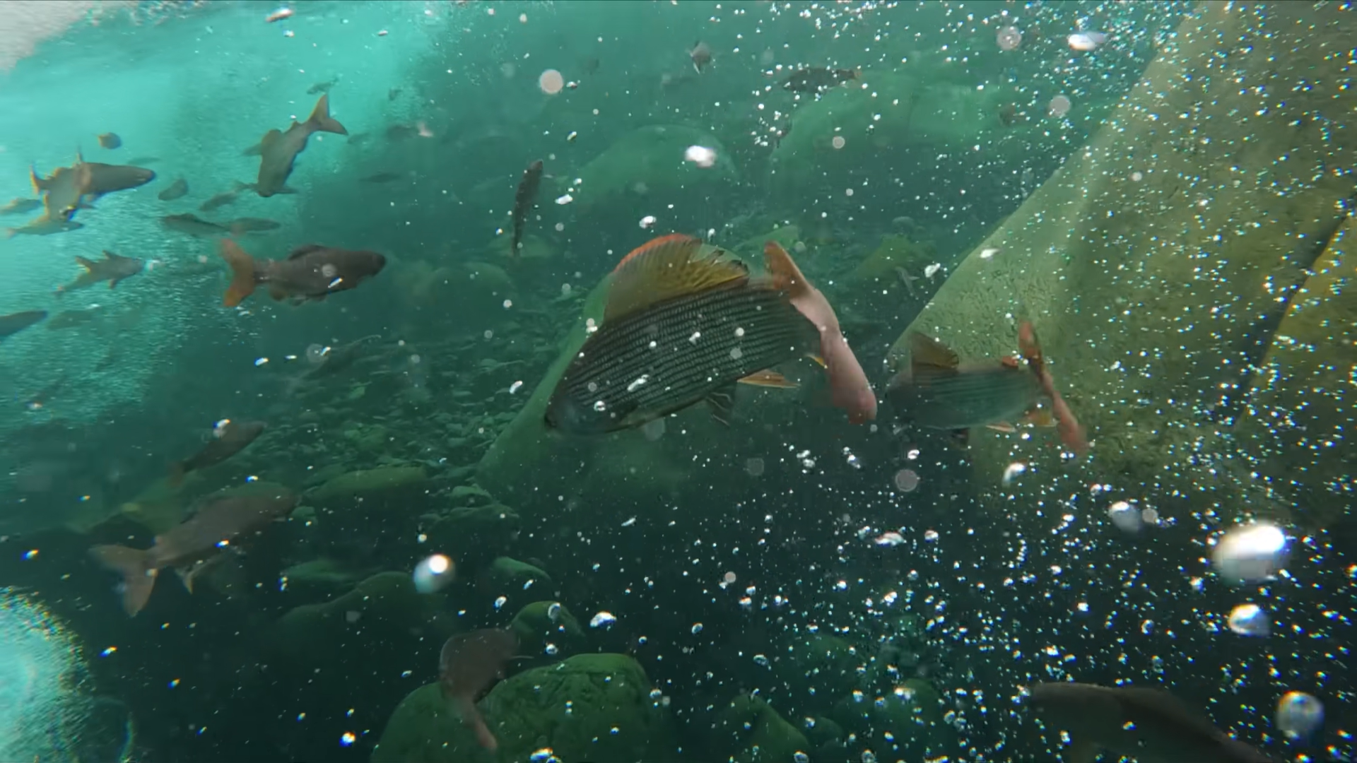 Снимок экрана 2025-12-17 115518.png