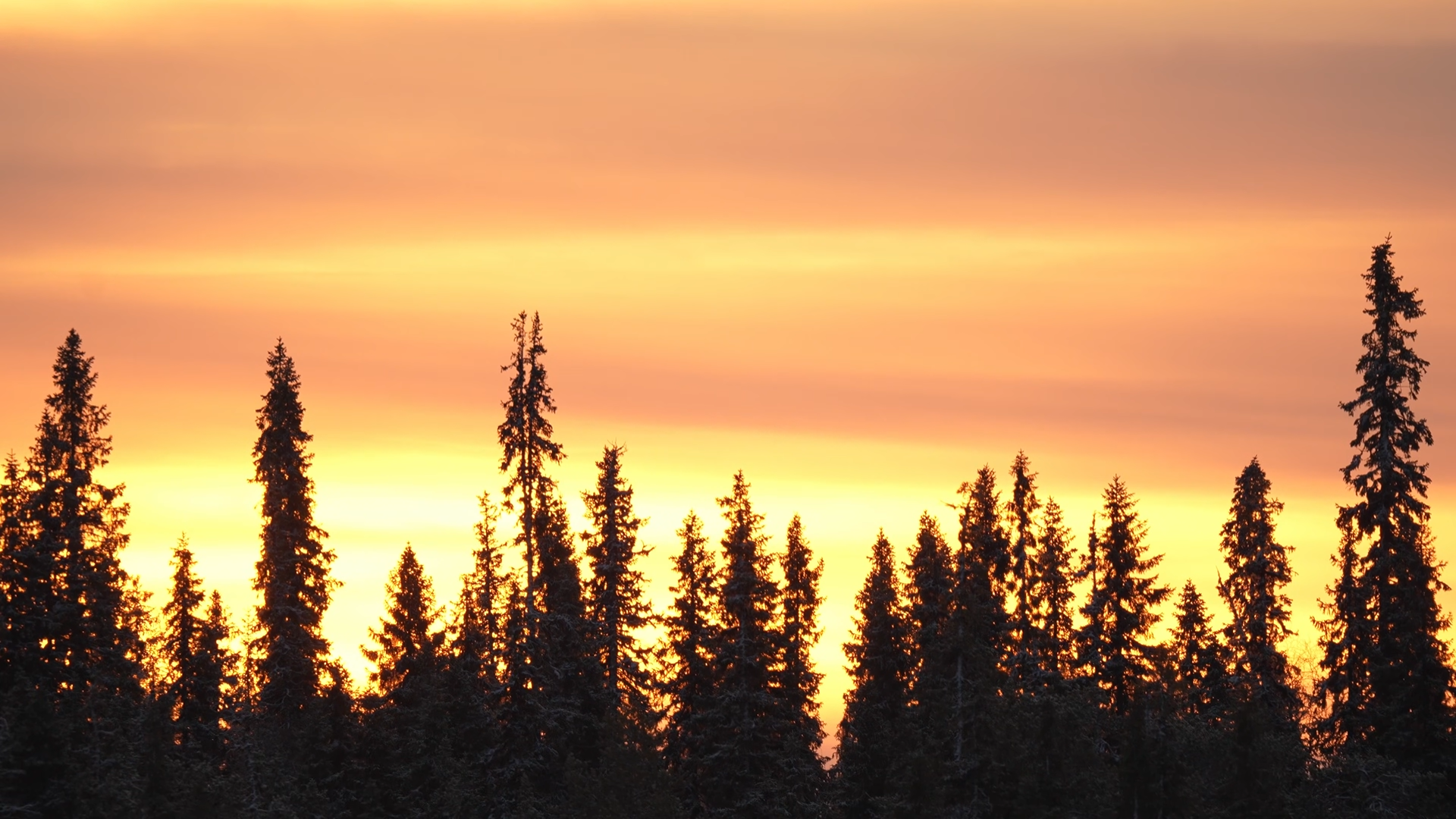 Снимок экрана 2025-12-21 100634.png