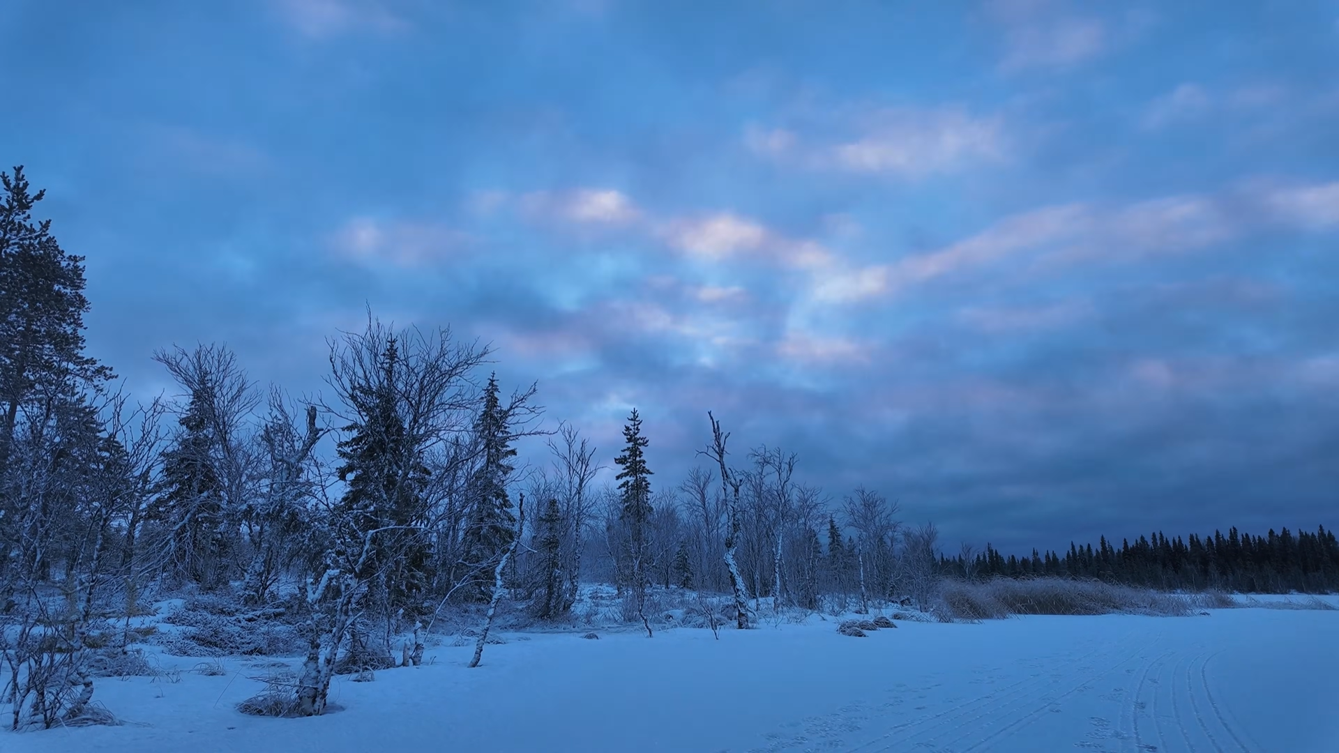 Снимок экрана 2025-12-21 101054.png