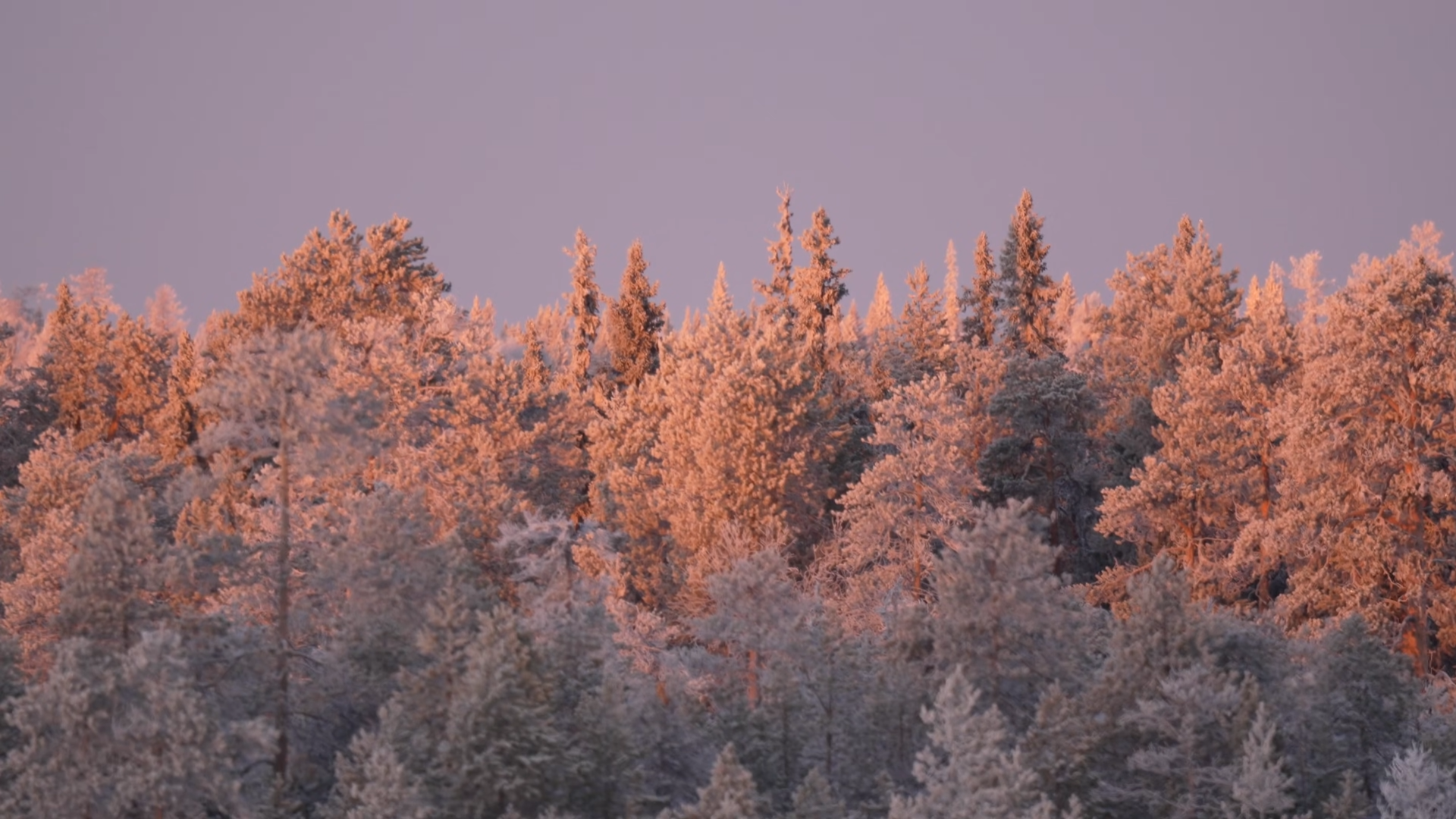 Снимок экрана 2025-12-21 101455.png