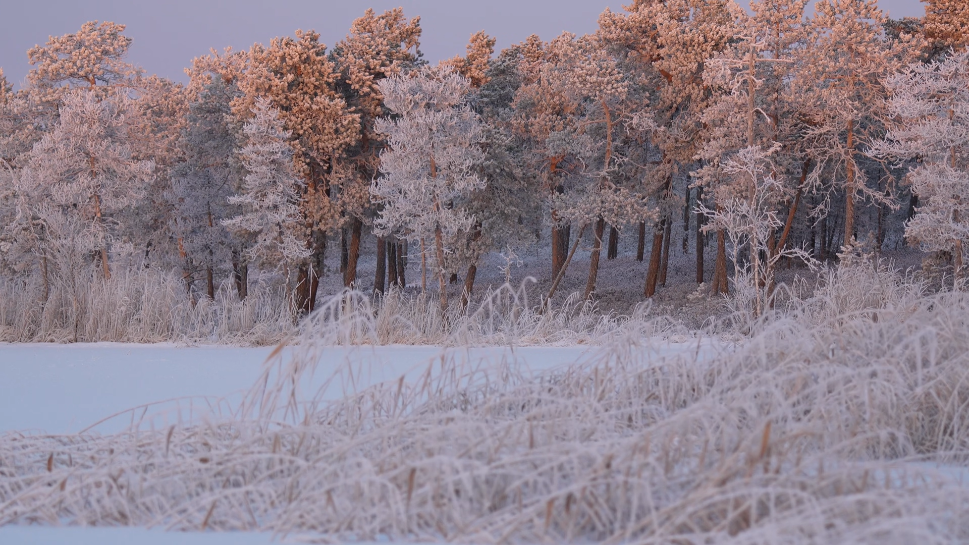 Снимок экрана 2025-12-21 101526.png