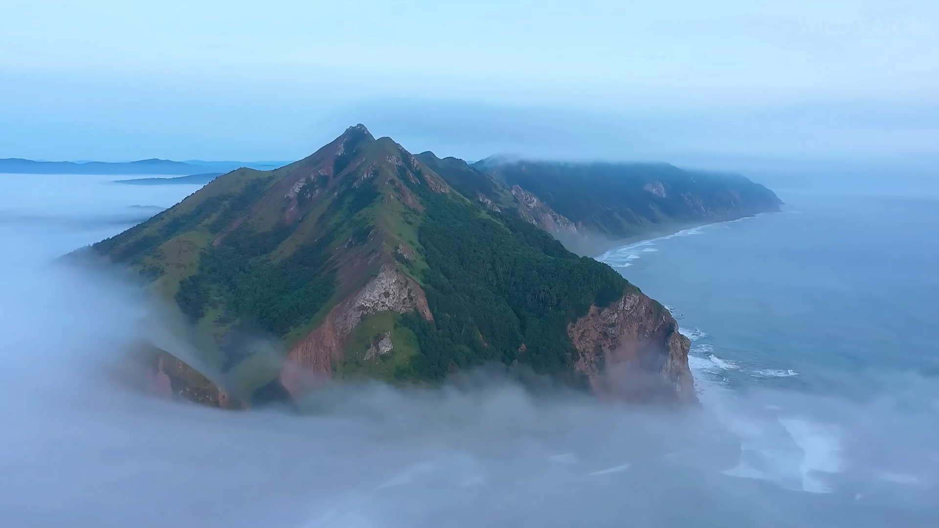 Снимок экрана 2025-12-24 132449.png