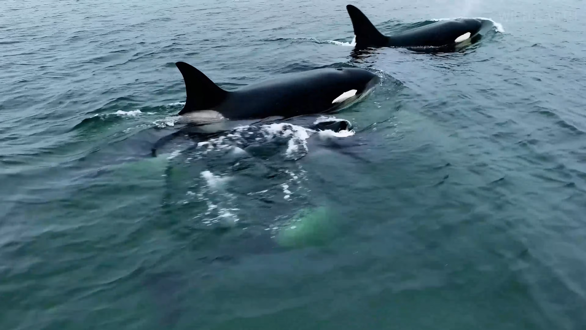 Снимок экрана 2025-12-24 132818.png