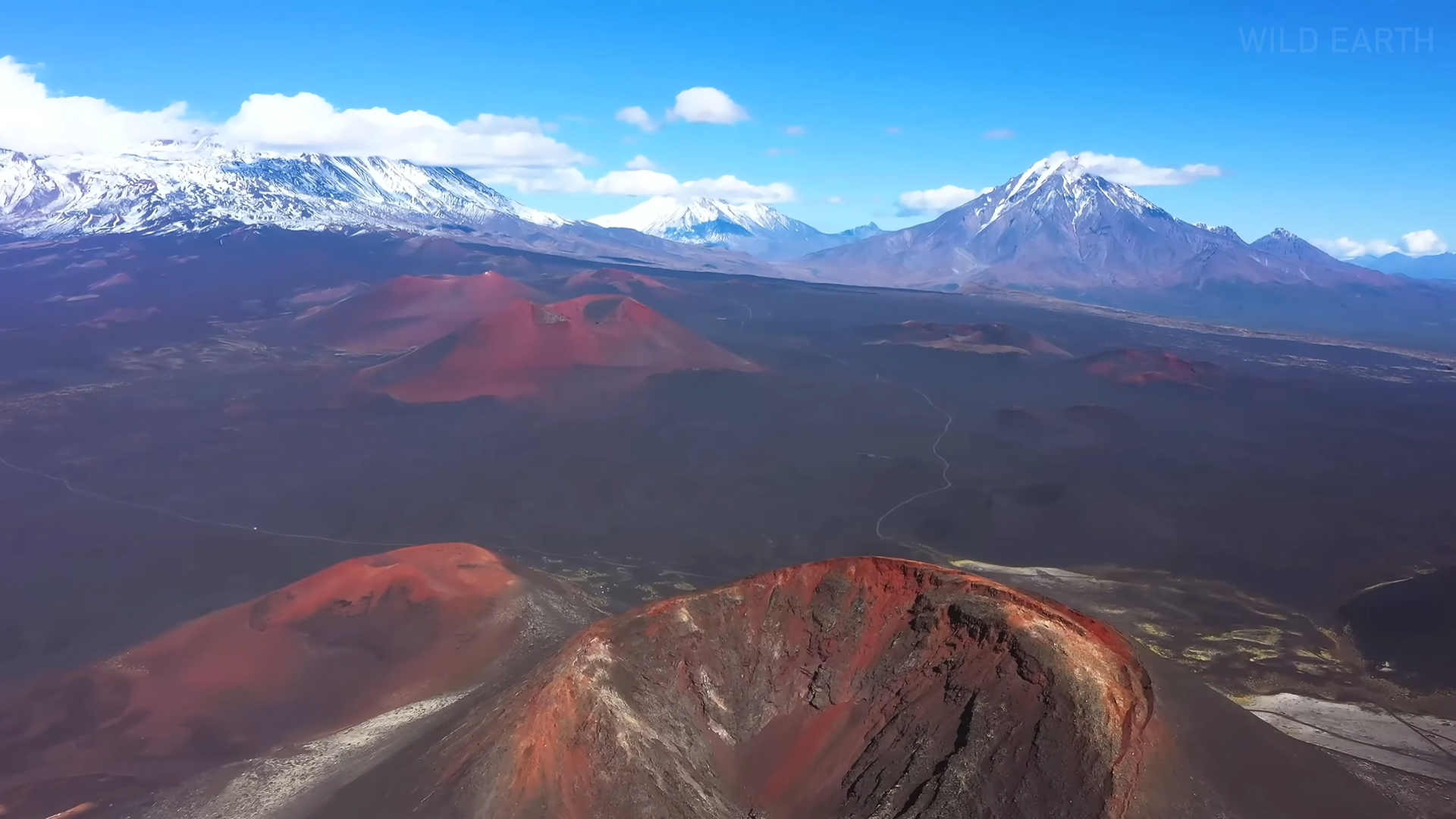 Снимок экрана 2025-12-24 134131.png