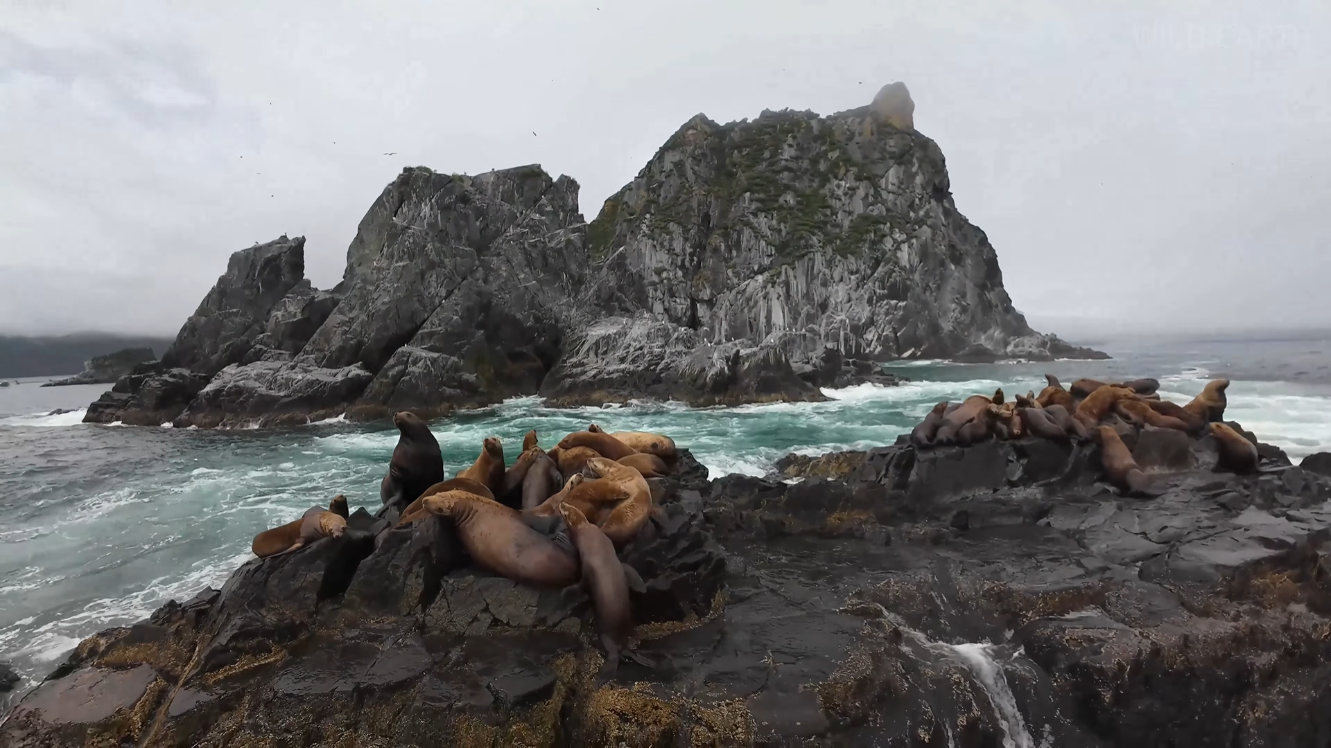 Снимок экрана 2025-12-24 135611.png