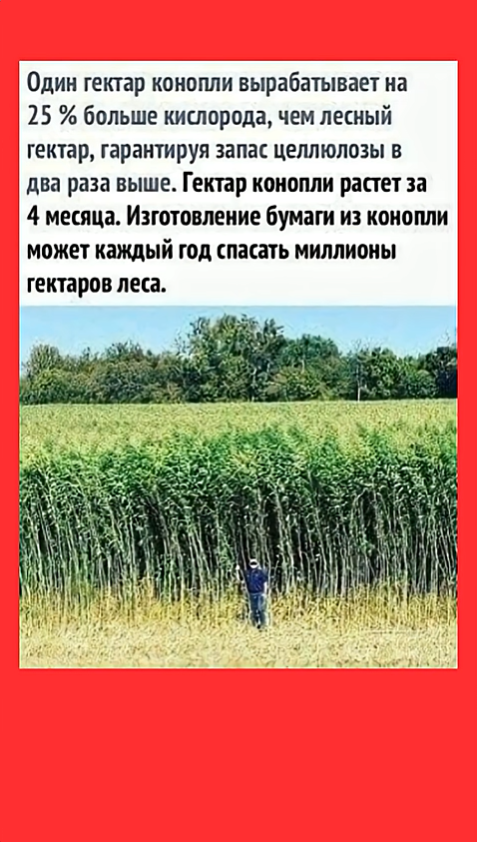 Снимок экрана 2025-12-26 083605.png