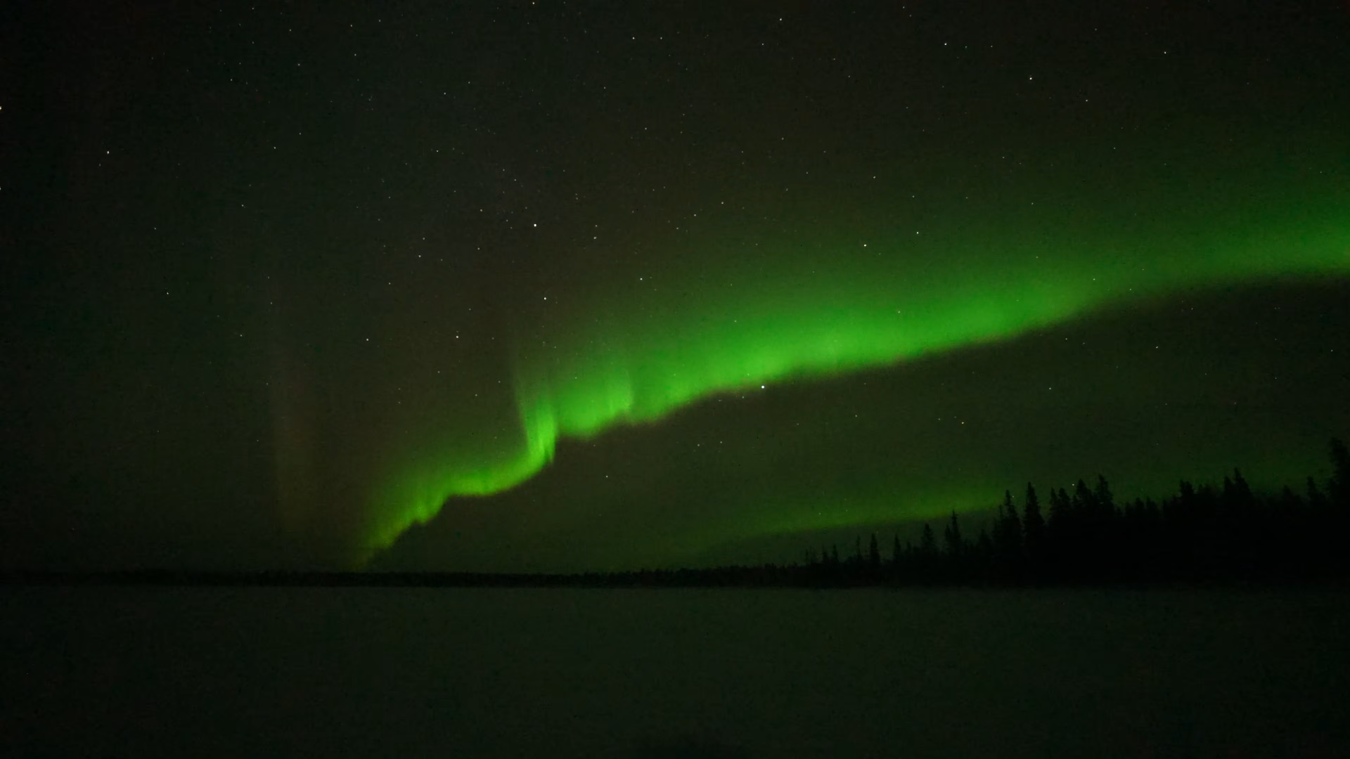 Снимок экрана 2026-02-17 215342.png