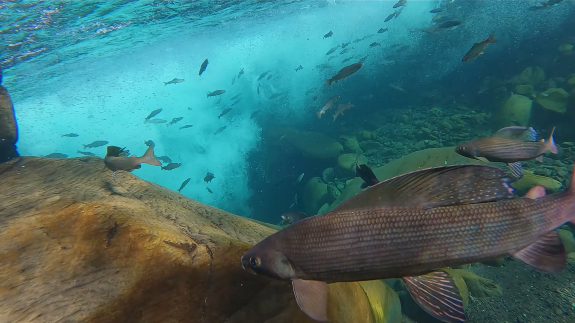 Снимок экрана 2026-02-20 112135.png