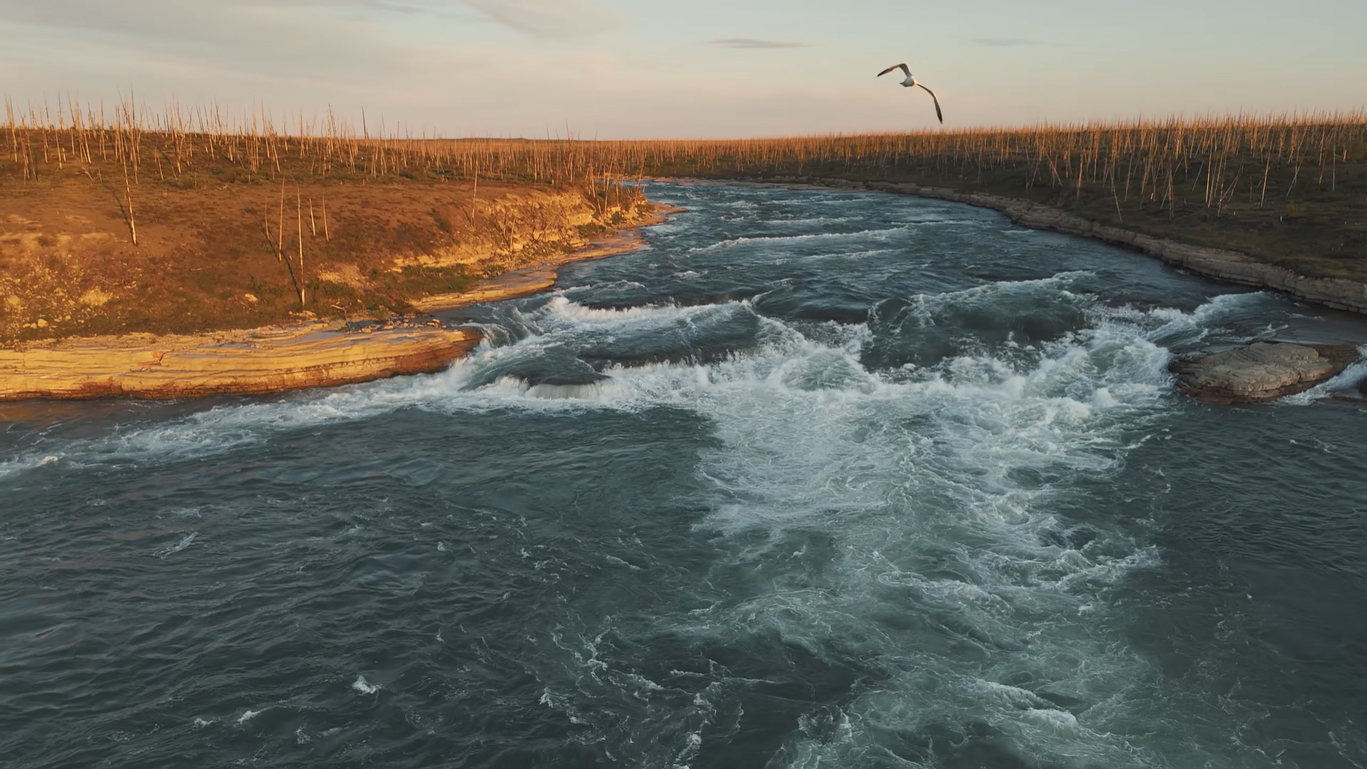 Снимок экрана 2026-02-20 112239.png