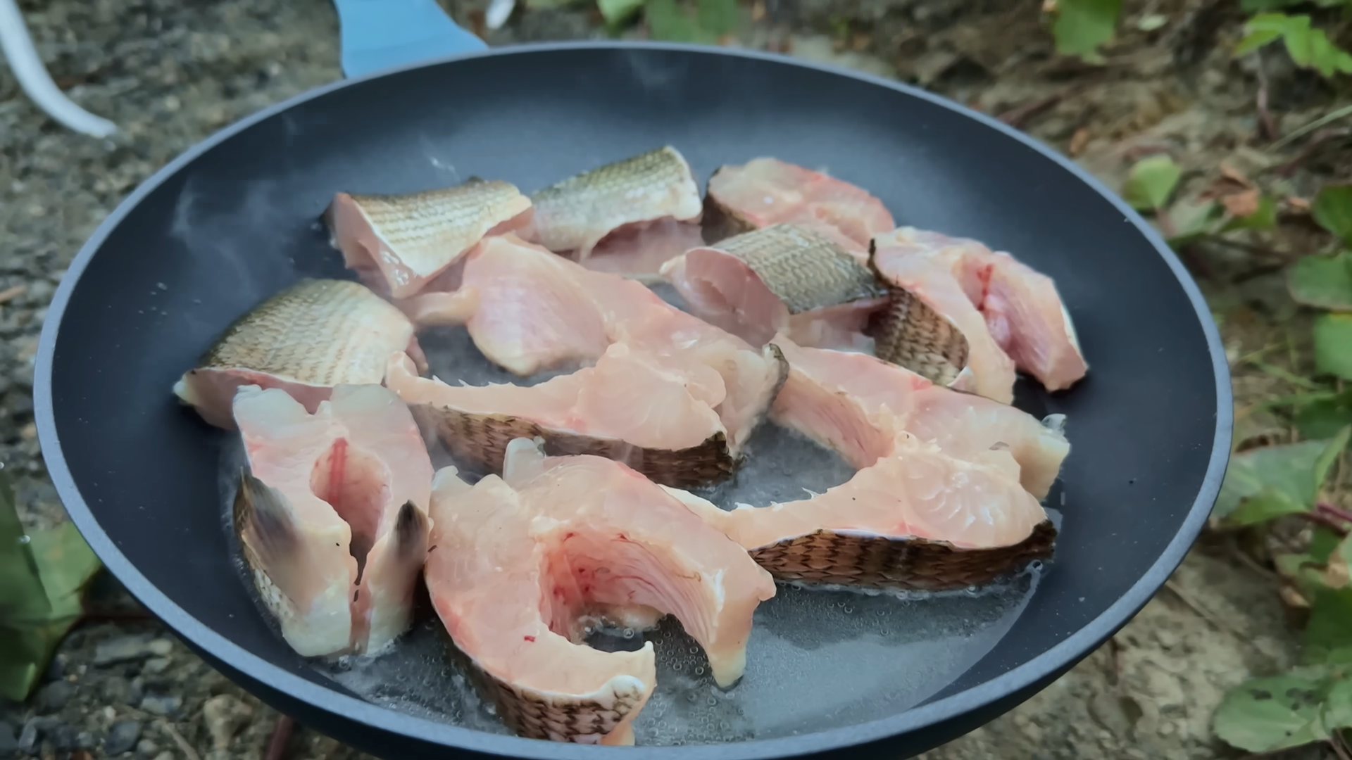 Снимок экрана 2026-03-16 162454.png