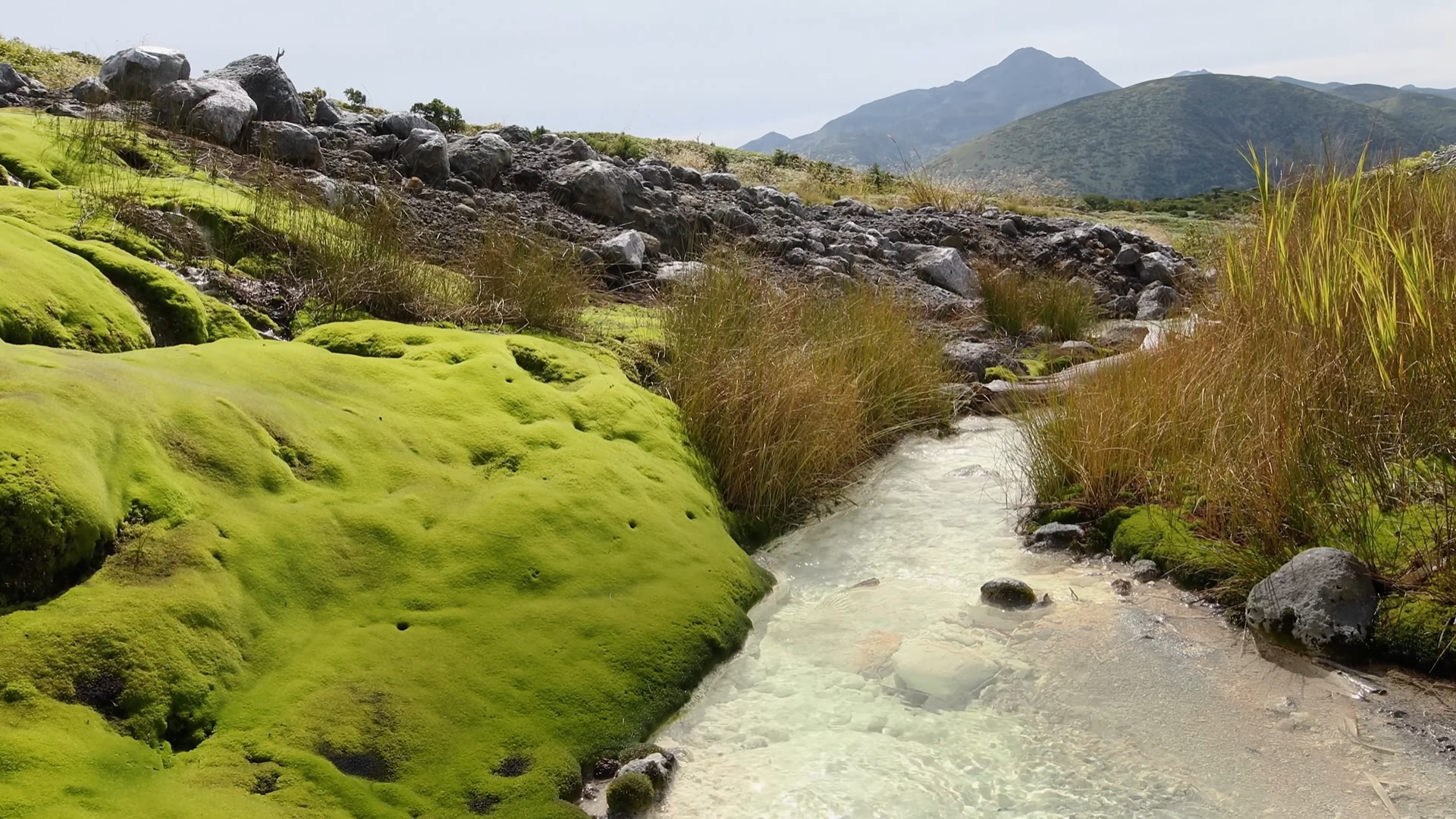 Снимок экрана 2026-03-20 201132.png