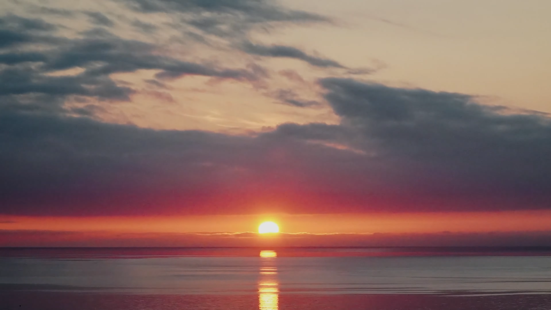 Снимок экрана 2026-03-20 202450.png