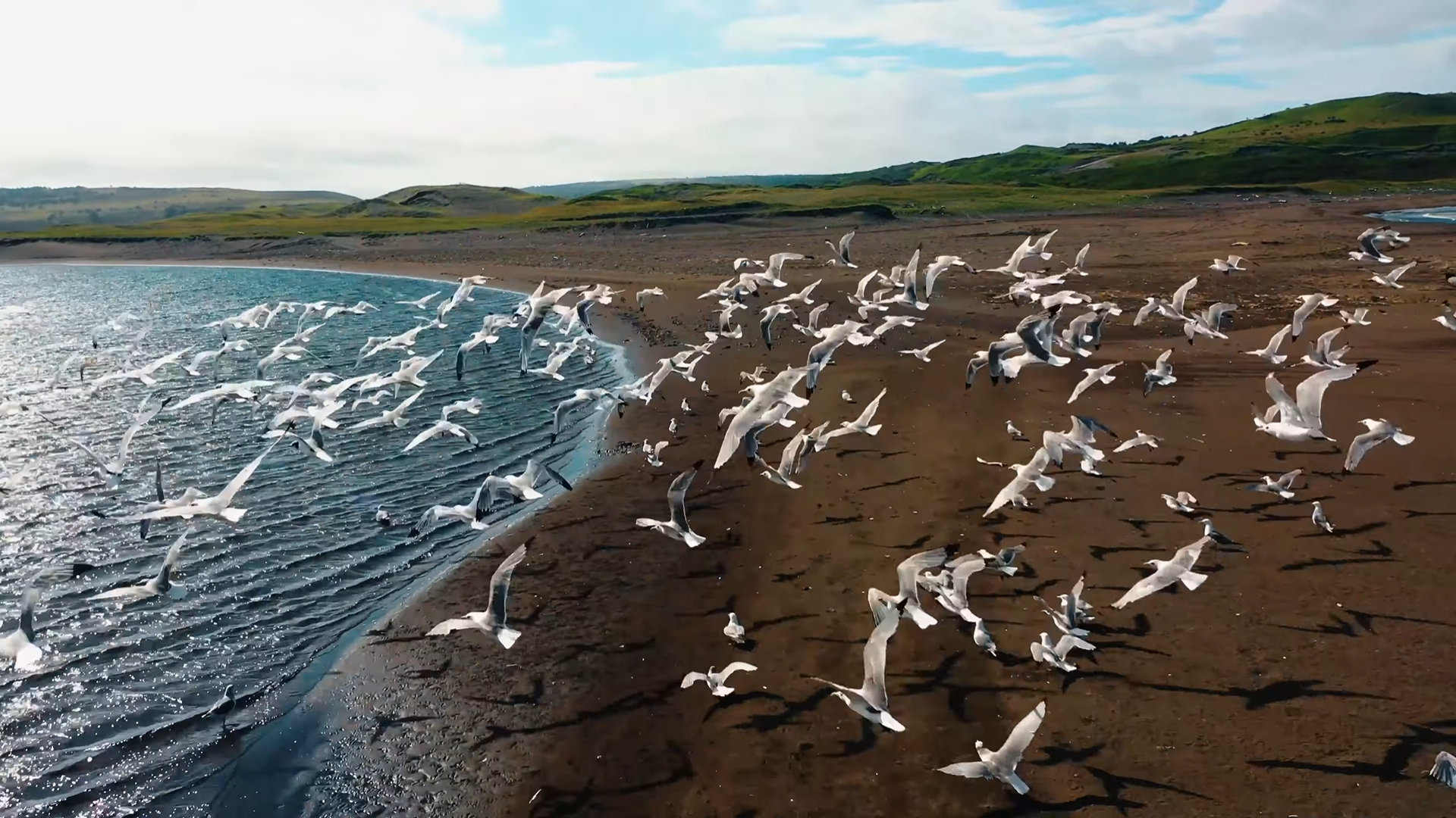 Снимок экрана 2026-03-20 211229.png