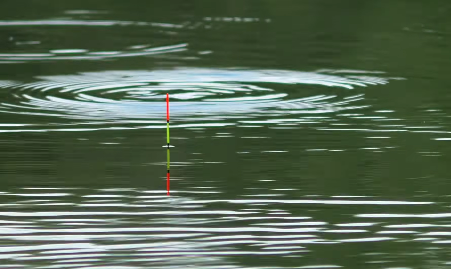 Снимок экрана 2026-04-10 181402.png