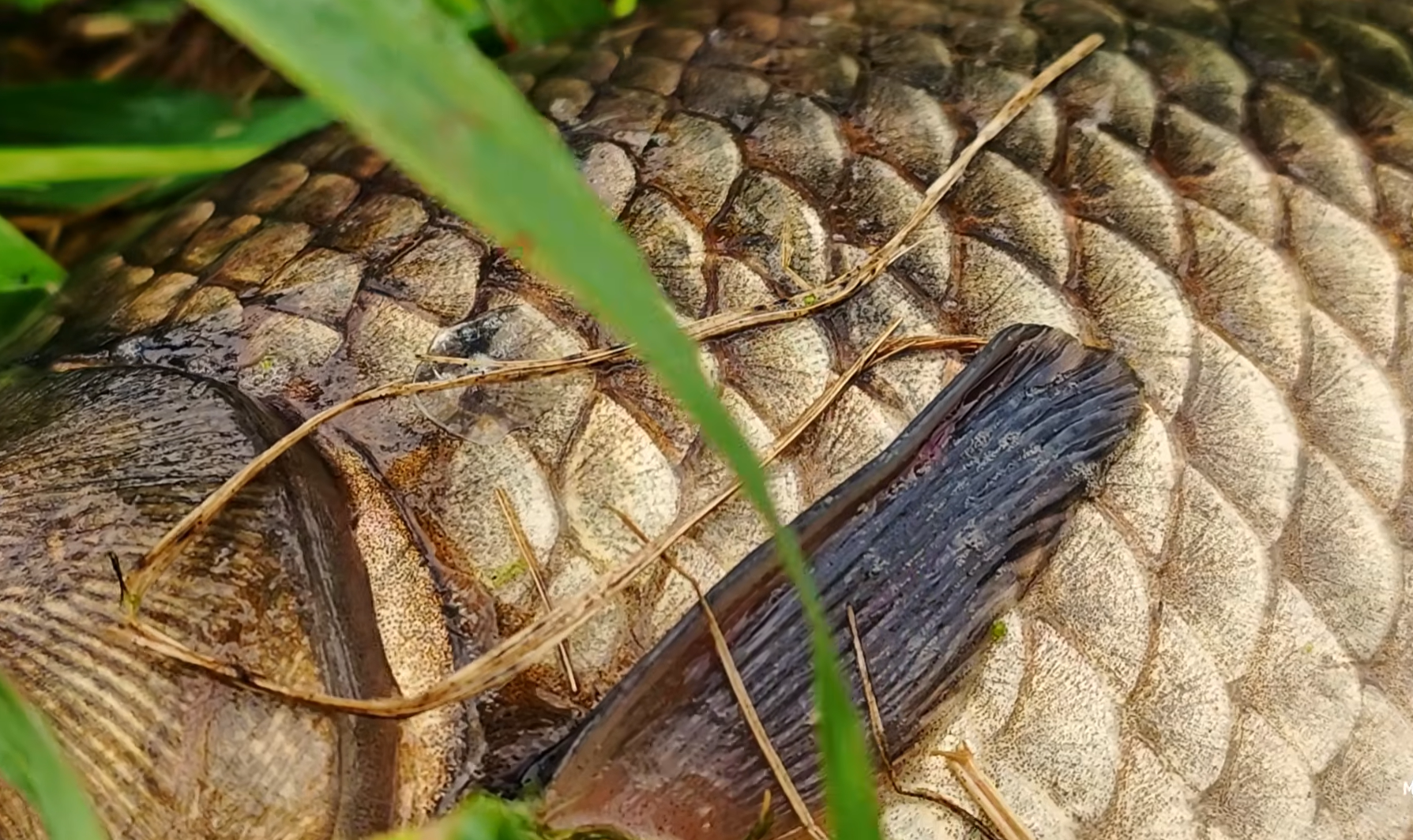 Снимок экрана 2026-04-10 181546.png