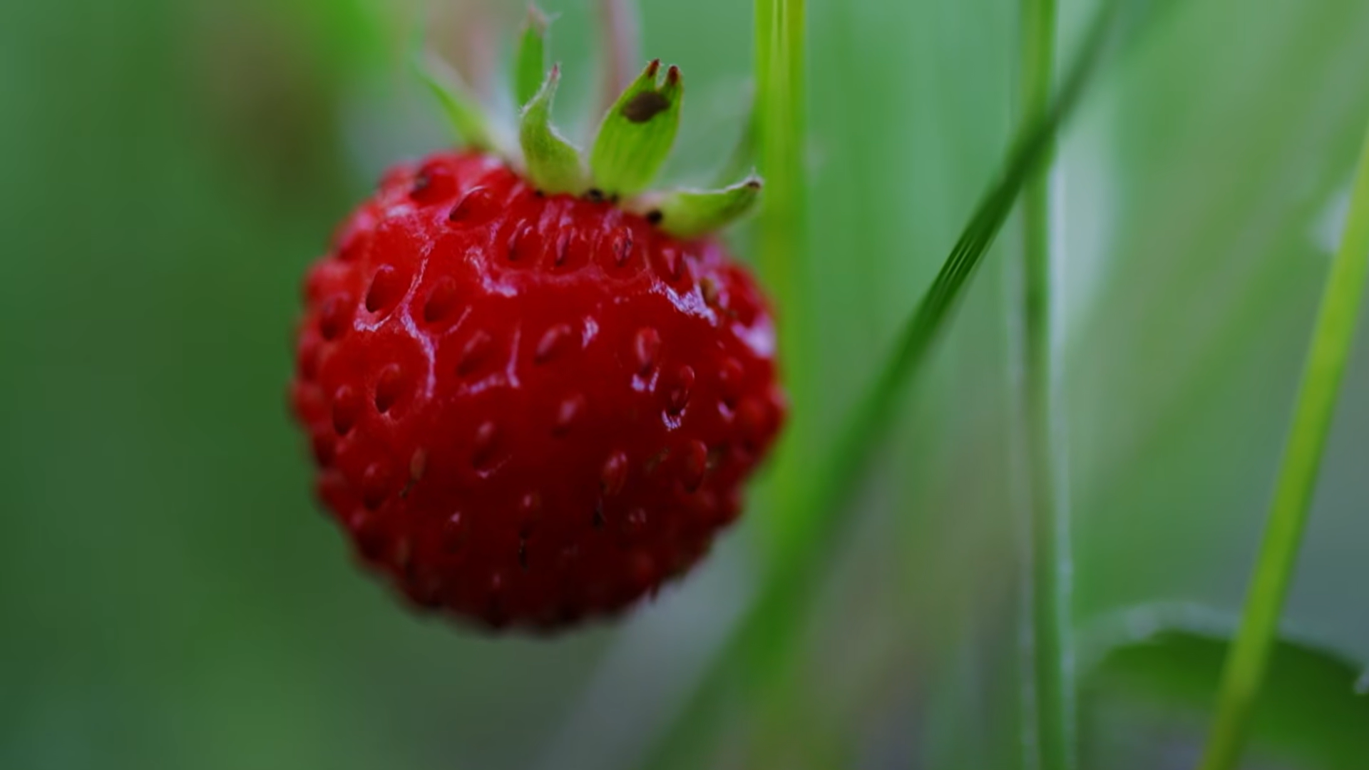 Снимок экрана 2026-04-10 183734.png