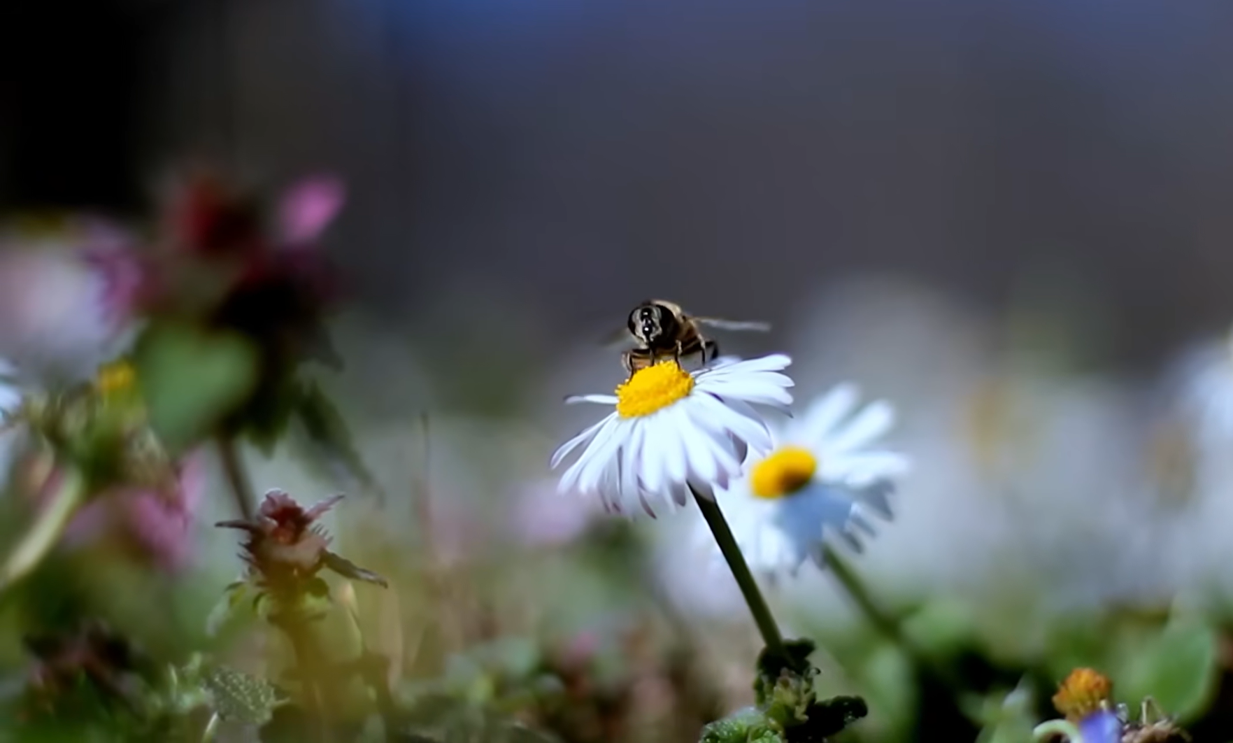 Снимок экрана 2026-04-10 184339.png