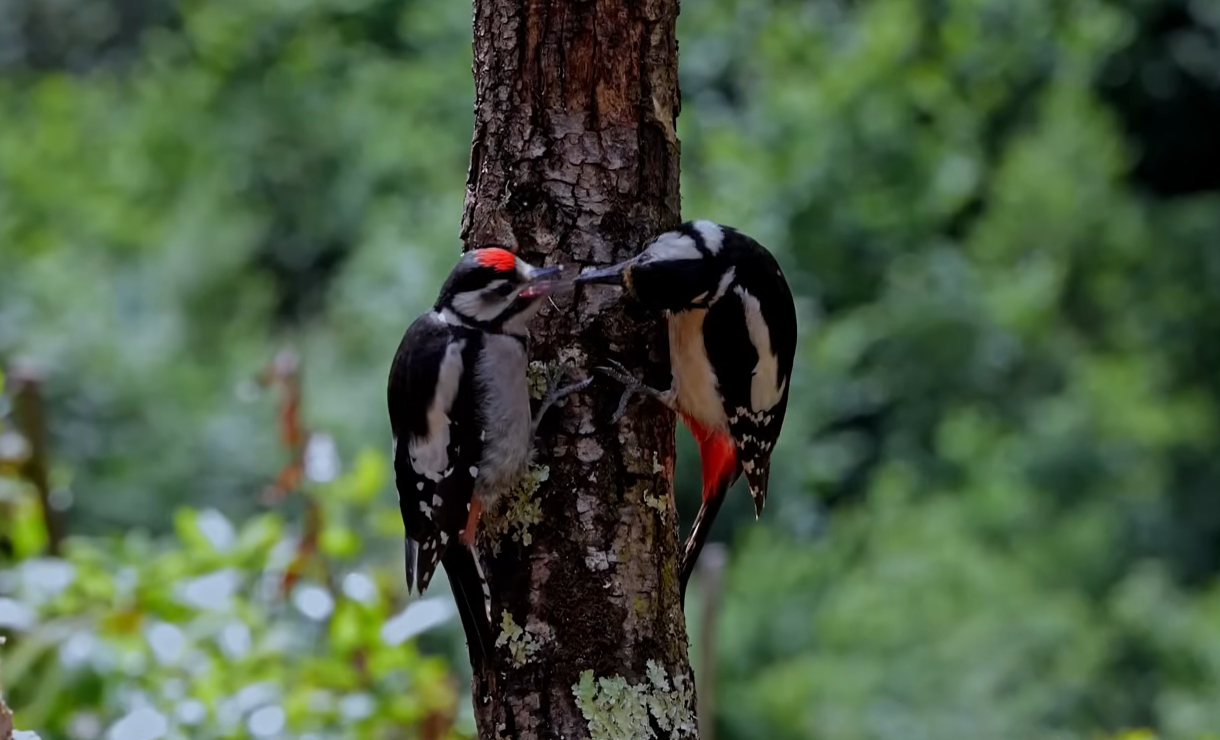 Снимок экрана 2026-04-10 184415.png