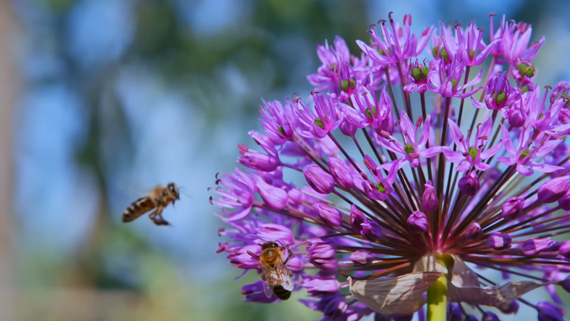 Снимок экрана 2026-04-10 185157.png