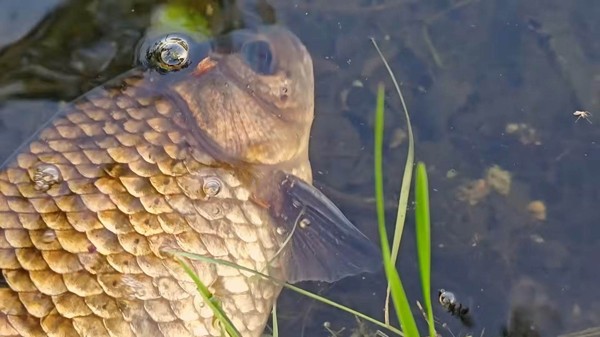 Снимок экрана 2026-04-10 194835.png