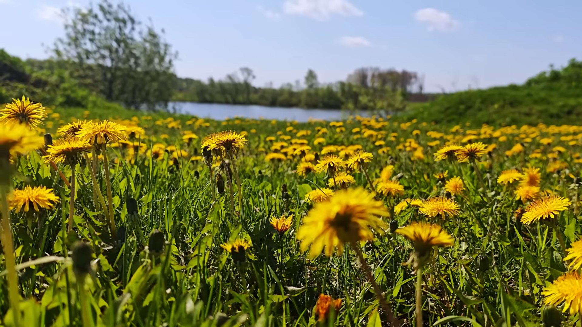 Снимок экрана 2026-04-10 200727.png