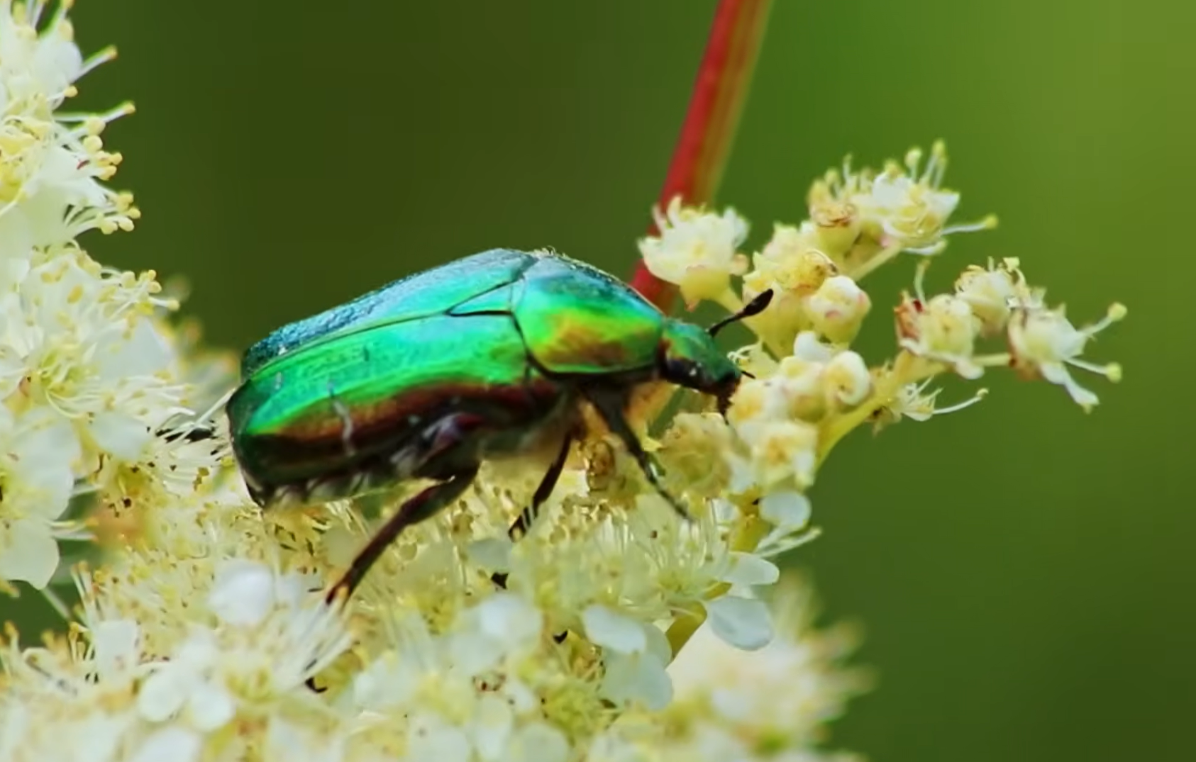 Снимок экрана 2026-04-10 222328.png