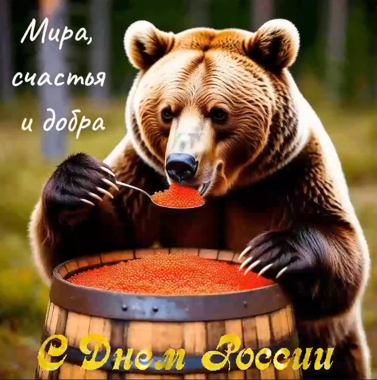 Снимок.PNG
