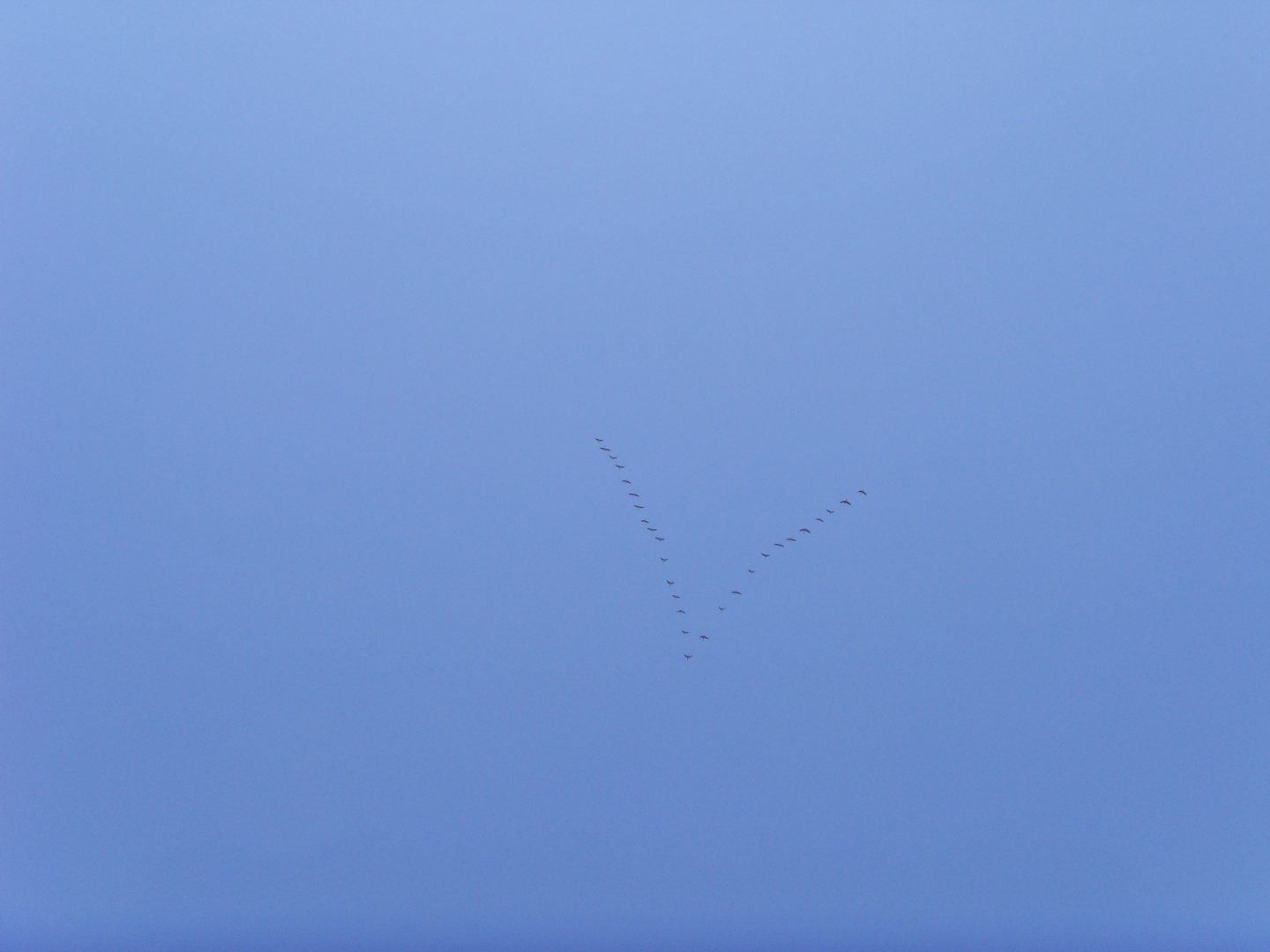 SNV39719.JPG
