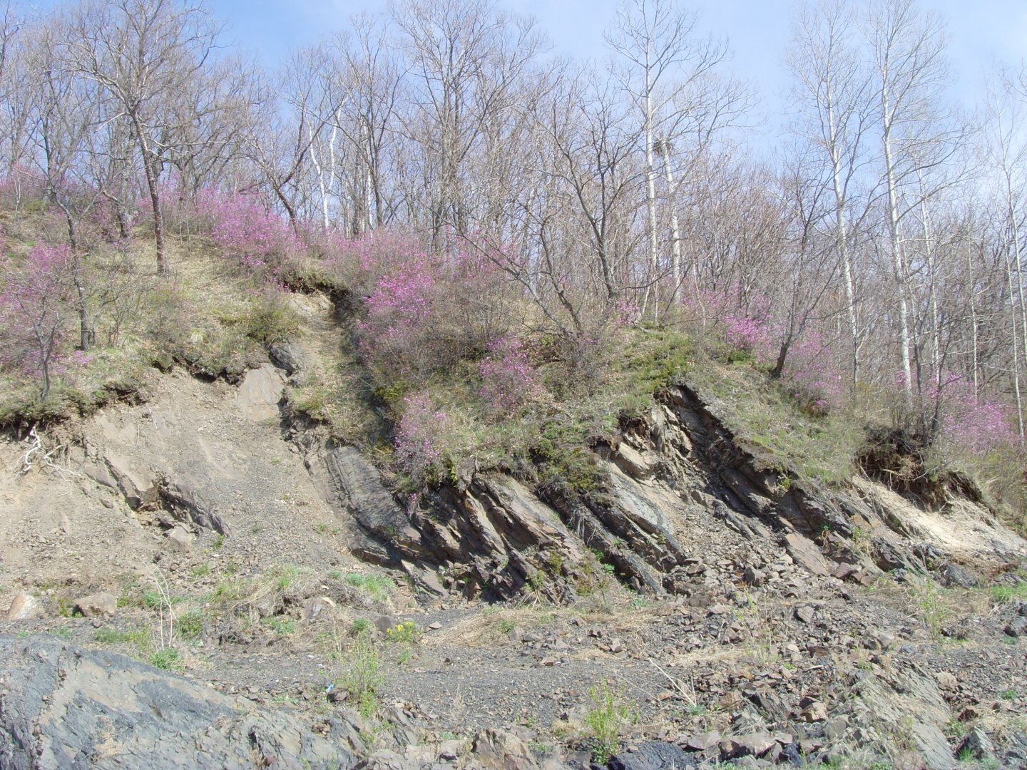 SNV39728.JPG
