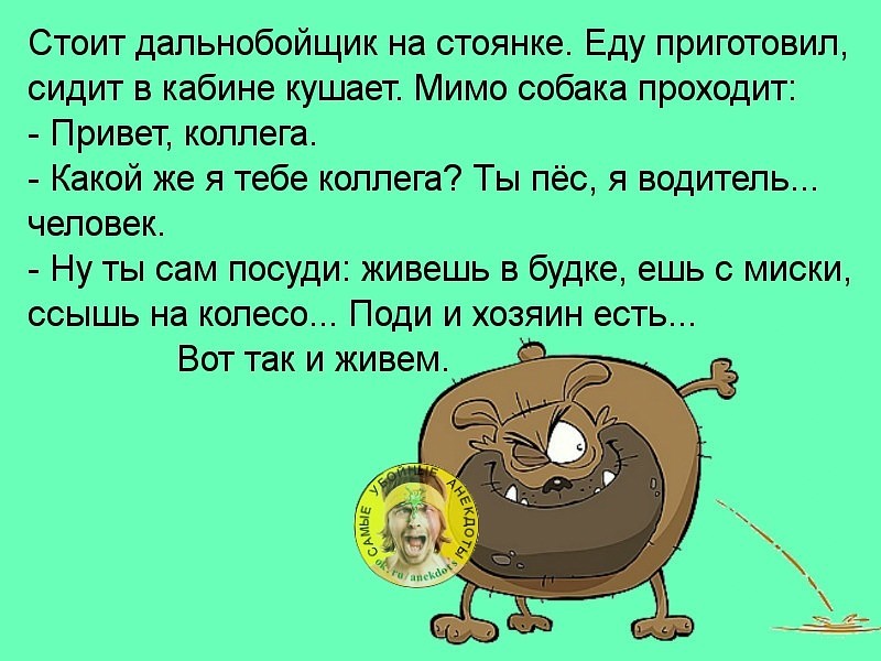 собака.jpg
