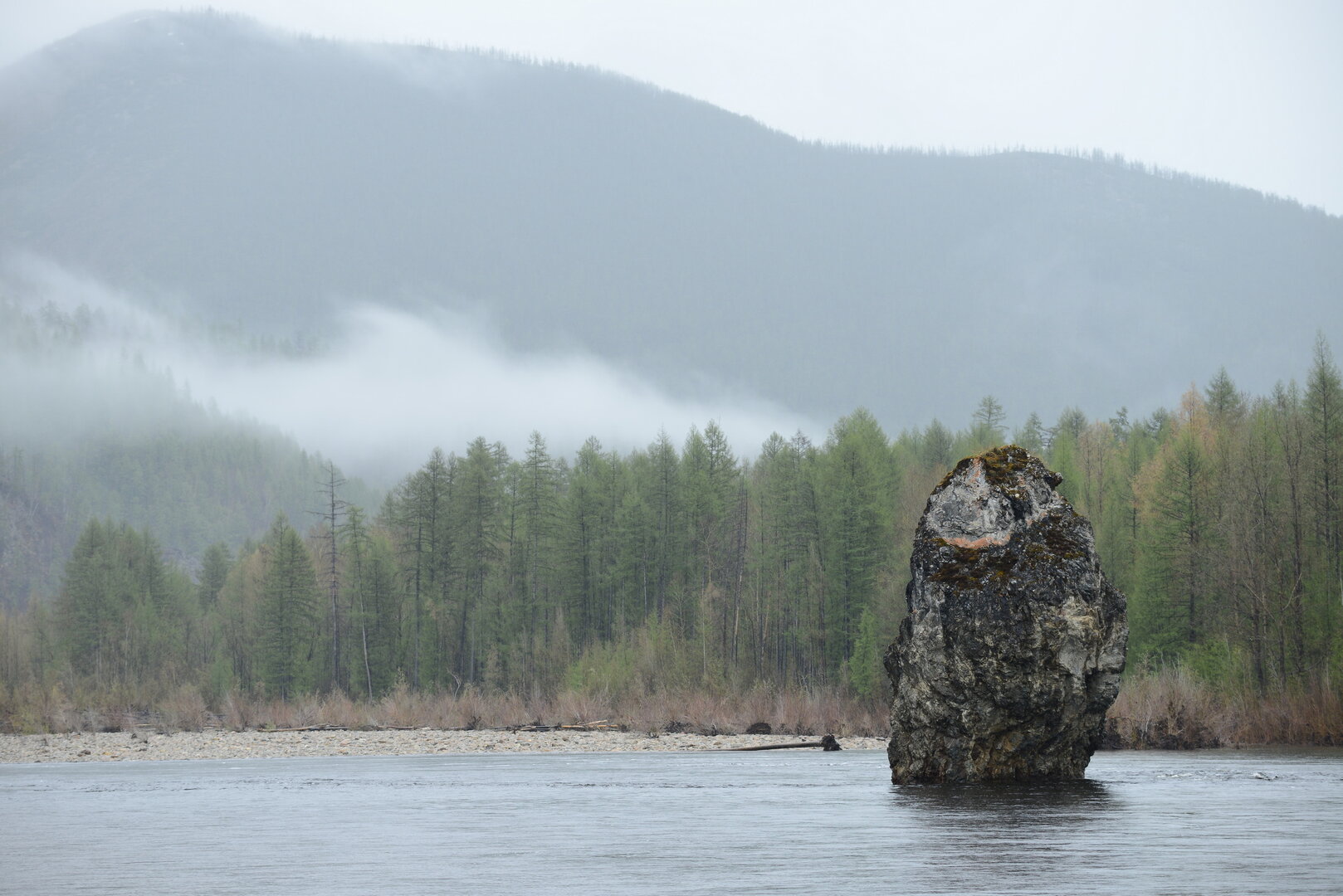 Совиная голова-1.JPG