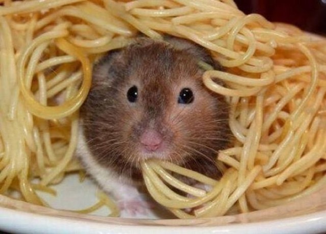 Спагетти01.jpg