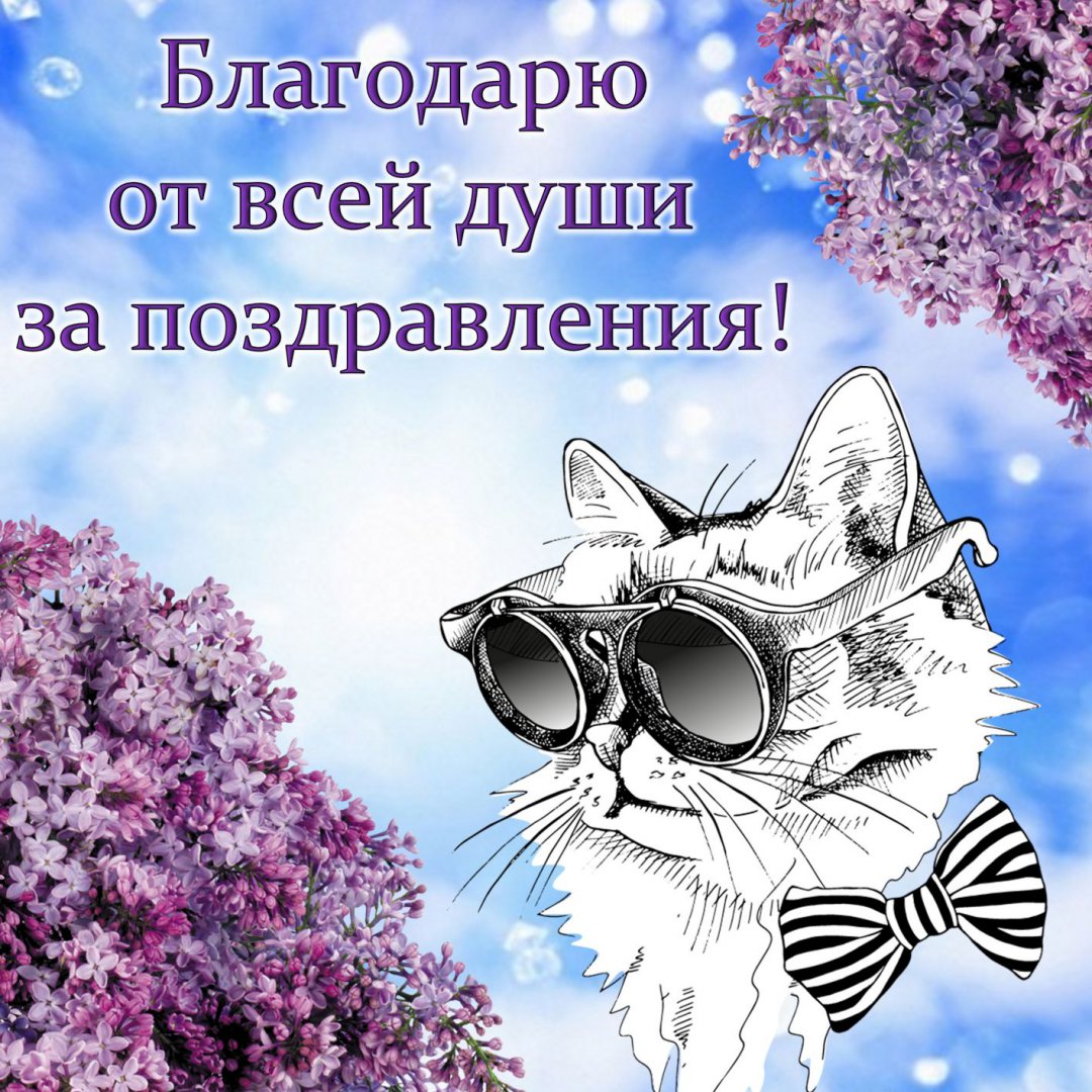 spasibo0028.jpg