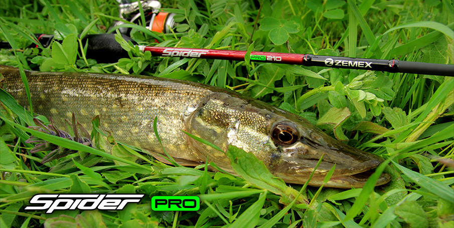 spider_pro_image_pike.jpg