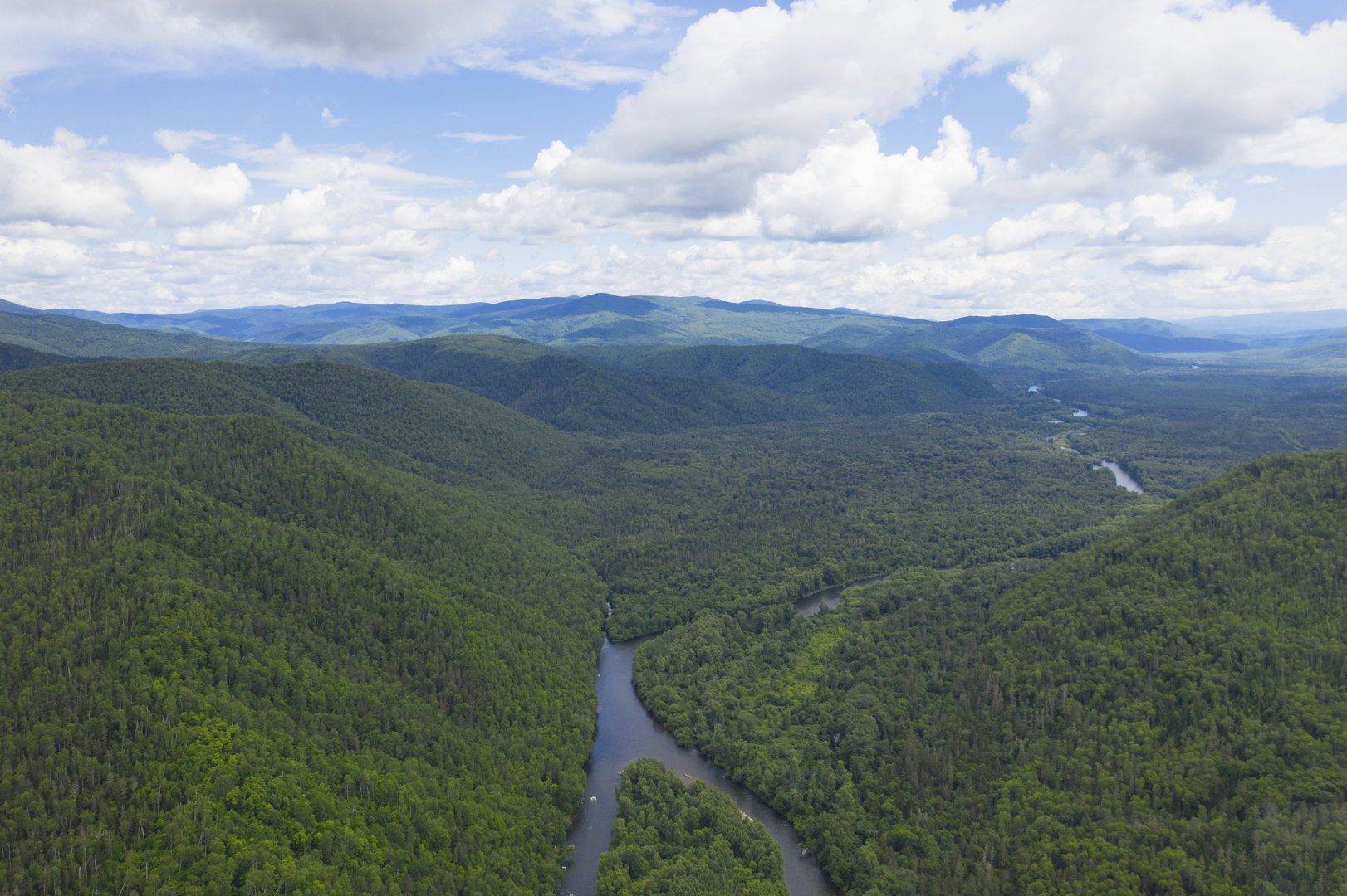 splv_2020_0009.jpg