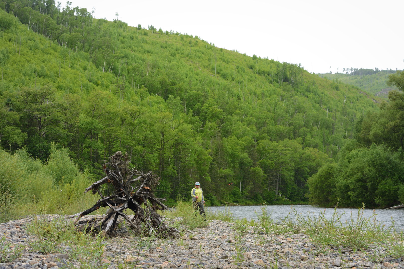 splv_2020_0012.jpg
