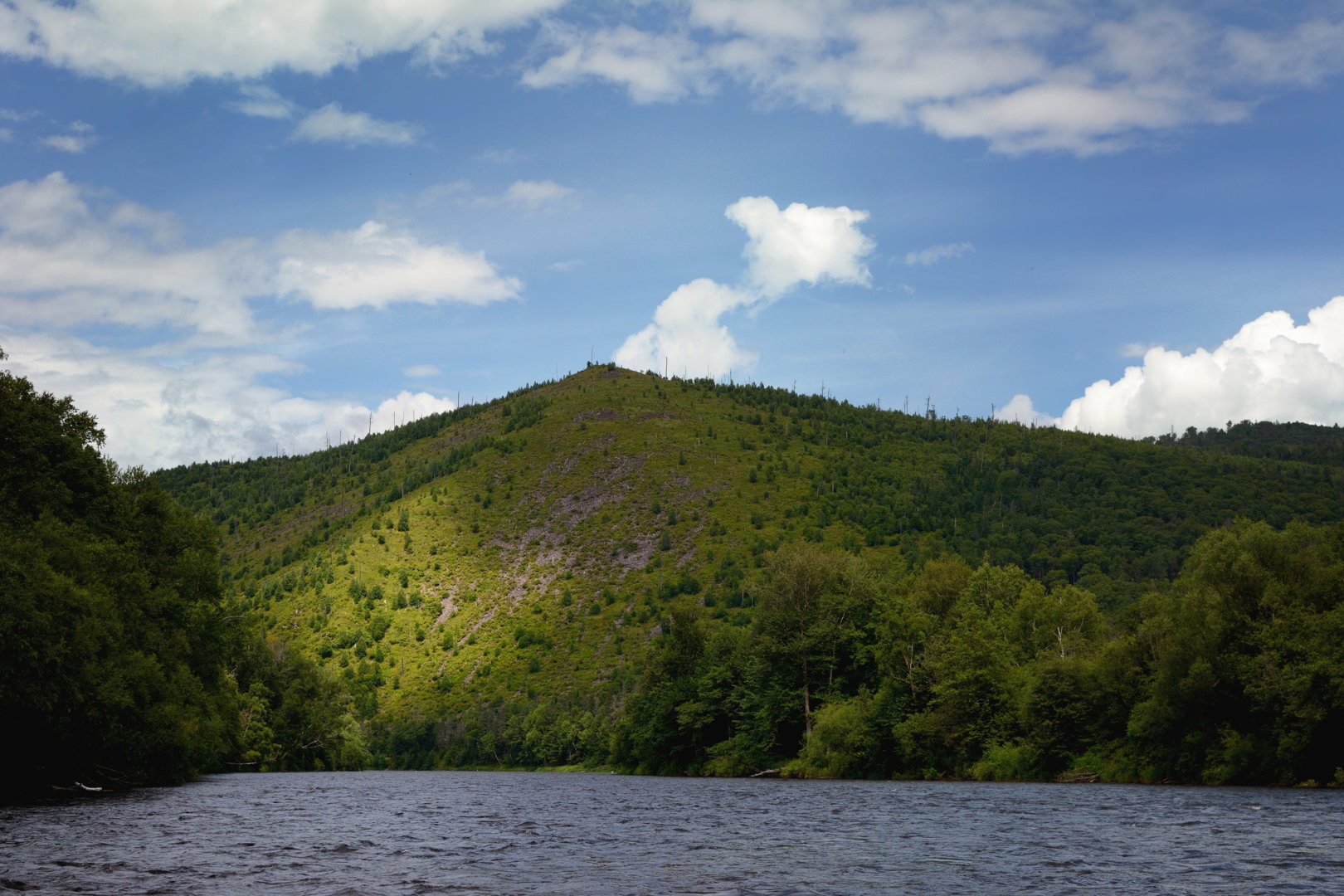 splv_2020_0042.jpg