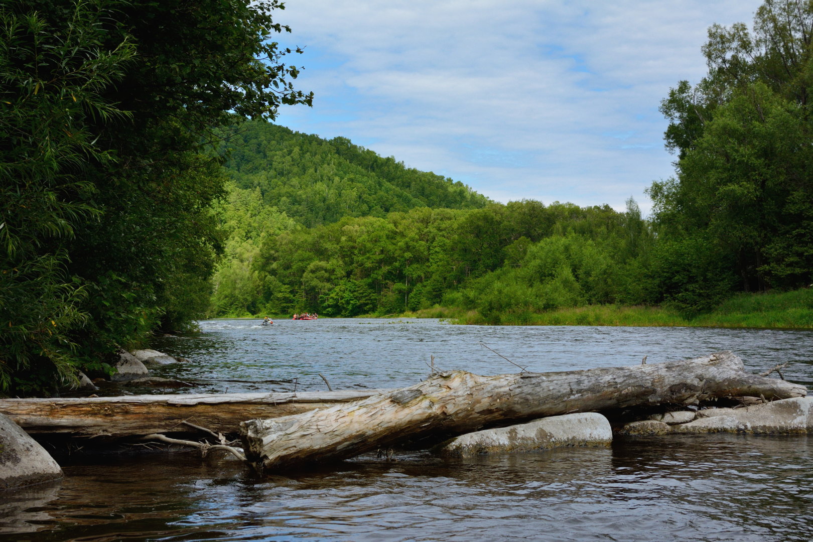 splv_2020_0045.jpg